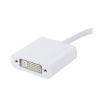 Usb31 Dvi 1 900x900