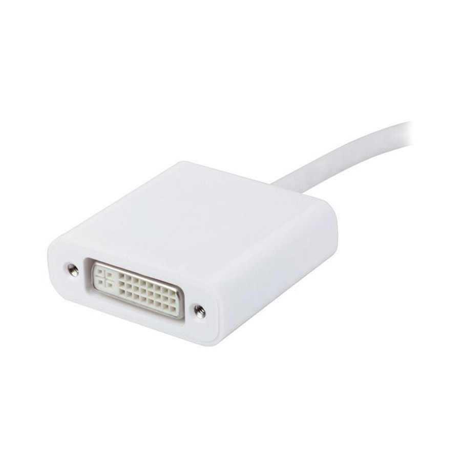 Usb31 Dvi 1 900x900